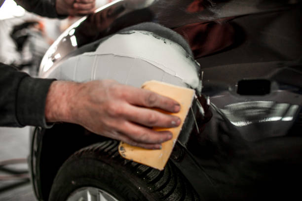 Stinnett, TX Mold Removal Company