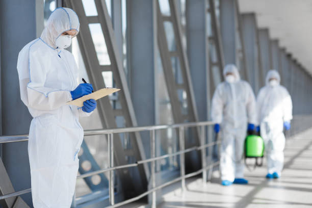 Best Residential Mold Inspection & Testing  in Stinnett, TX