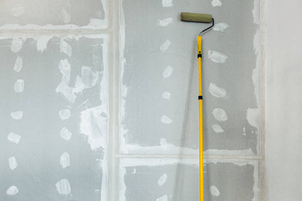 Best Emergency Mold Remediation  in Stinnett, TX