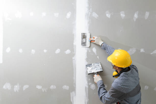 Best Water Damage & Mold Remediation  in Stinnett, TX