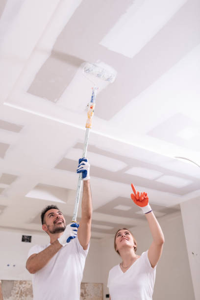 Best Asbestos and Lead Testing During Mold Inspection  in Stinnett, TX