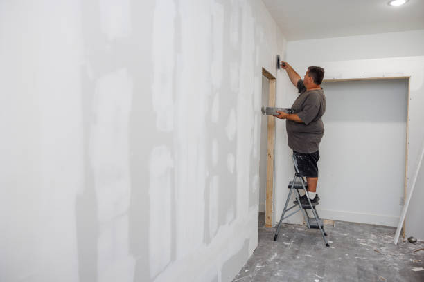 Best Attic Mold Removal  in Stinnett, TX