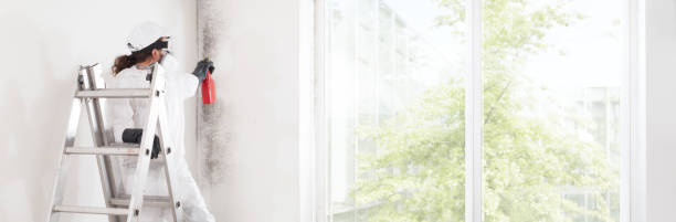 Best Mold Odor Removal Services  in Stinnett, TX
